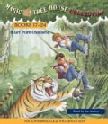 Magic Tree House Collection Books 17-24: Tonight on the Titanic/Buffalo Before Breakfast/Tigers at Twilight/Dingoe... (CD-Audio)
