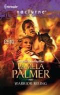 Warrior Rising (Paperback)
