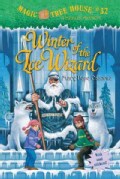 Winter of the Ice Wizard (Paperback)