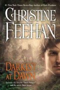 Darkest at Dawn (Paperback)