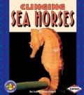 Clinging Sea Horses (Paperback)
