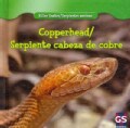 Copperhead / Serpiente cabeza de cobre (Hardcover)