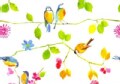 Watercolor Birds Note Cards (Cards)