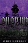 Maximum Security (Paperback)