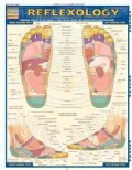 Reflexology Laminated Reference Guide (Wallchart)