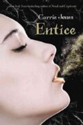 Entice (Hardcover)