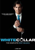 White Collar: Season 1 (DVD)