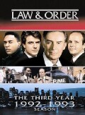 Law & Order: The Third Year (DVD)