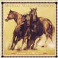 Michael Martin Murphey - America's Horses