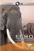 Nature: Echo: An Elephant to Remember (DVD)