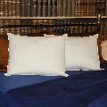 Ultimate Cotton Plush Density 305 Thread Count Pillows (Set of 2)