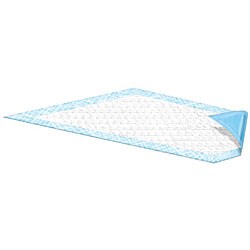 Attends Dri-Sorb Plus Underpads (Case of 100)