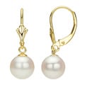 DaVonna 14k Gold Akoya Pearl Leverback Earrings with Gift Box (8-8.5 mm)