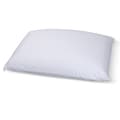 Select Luxury E.C.O. Latex Queen or King-size Pillow