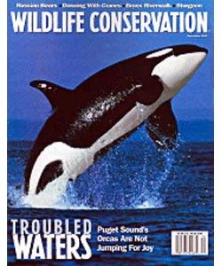 Wildlife Conservation Magazine, 6 issues for 1 year(s)