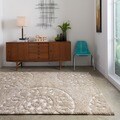 Jullian Beige Shag Rug (7'7 x 10'6)