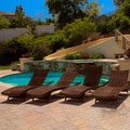 Christopher Knight Home Outdoor Brown Wicker Adjustable Chaise Lounge Chairs (Set of 4)