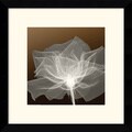 'Sheer Delicacy' Framed Art Print