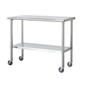 Trinity Stainless Steel Table with Caster Kit