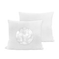 Nature's Rest Eco Fiber Euro Square Pillow (Set of 2)