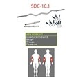 Standard Curl Bar Dumbbell Handle Combo Set