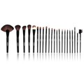 Shany NY Collection 22-piece Pro Makeup Brush Kit