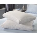 Famous Maker Lyocel Blend Down Alternative Pillows (Set of 2)