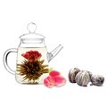 Tea Beyond Premium Blooming Tea Gift Set GFS2002