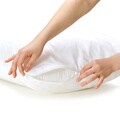 Bed Bug and Dust Mite Proof Pillow Protector Cover (Set of 2)