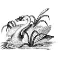 LaBlanche Swan Silicone Stamp