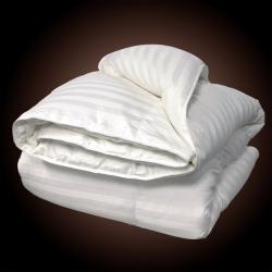 Oversized 500 Thread Count All Season Down Blend Comforter