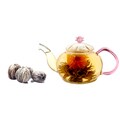 Tea Beyond Premium GFS2010 Juliet Blooming Tea Gift Set