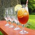 Custom Engraved Pilsner Goblets (Set of 4)