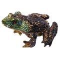Cristiani Frog Box