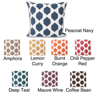 Isabella Ikat 20x20-inch Pillow