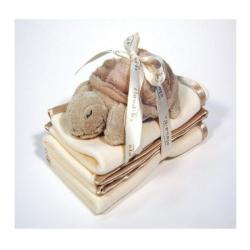 Cloud B Satin Trim Spill Cloth & Turtle Rattle Gift Set