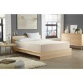 WHITE by Sarah Peyton 8-inch Convection Cooled Firm Support Memory Foam Mattress