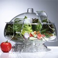 UZO1 Salad on Ice Bowl and Server Set