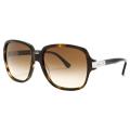 Chloe Women's 'Ammi' Fashion Sunglasses