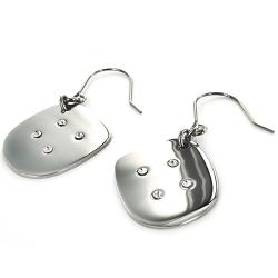 Stainless Steel Polished Cubic Zirconia Dangle Earrings
