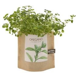 Garden-in-a-Bag Herb Collection Organic Oregano