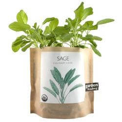 Garden-in-a-Bag Herb Collection Organic Sage