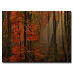 Philippe Sainte-Laudy 'Poetry of Colors' Canvas Art