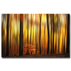 Philippe Sainte-Laudy 'Firewall' Canvas Art