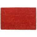 Simply Red Non-slip Coir Doormat