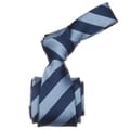 Republic Men's Blue Striped Microfiber Neck Tie