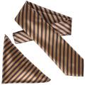 Boston Traveler Men's Diagonal Stripe Microfiber Tie and Hanky Set