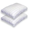 Beautyrest Twin Pack Bed Pillows with Invista Dacron Fiberfill