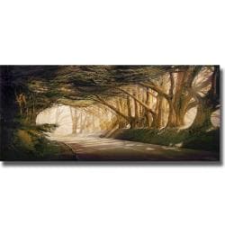 William Vanscoy 'Inside a Dream' Canvas Art