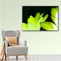 Herb Dickinson 'Gerber Time I' Gallery-Wrapped Canvas